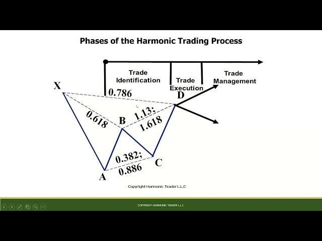 Harmonic Pattern Collection Software Course I - Part I