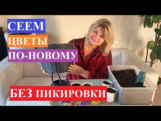 Сеем цветы по-новому, без пикировки!