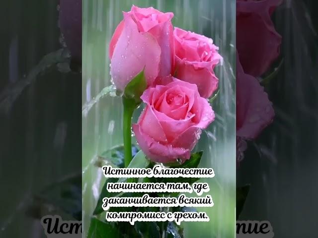 Доброе утро! Господи, Боже сил, восстанови нас!  Христианское пожелание