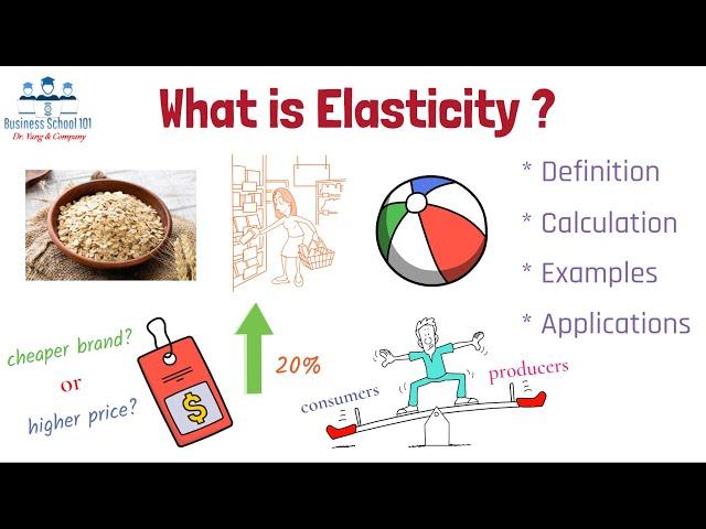 What is Elasticity? | Principles of Economics | From A Business Professor