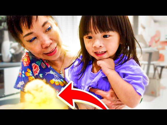 Surprising Our Daughter with a New Pet!