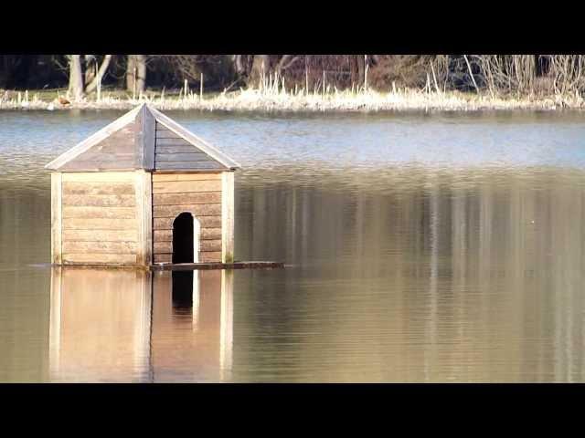 Panasonic Lumix FZ200 zoom video test