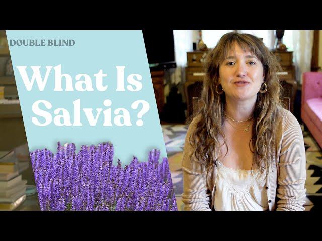 Salvia: What Is It? 🟣 | DoubleBlind