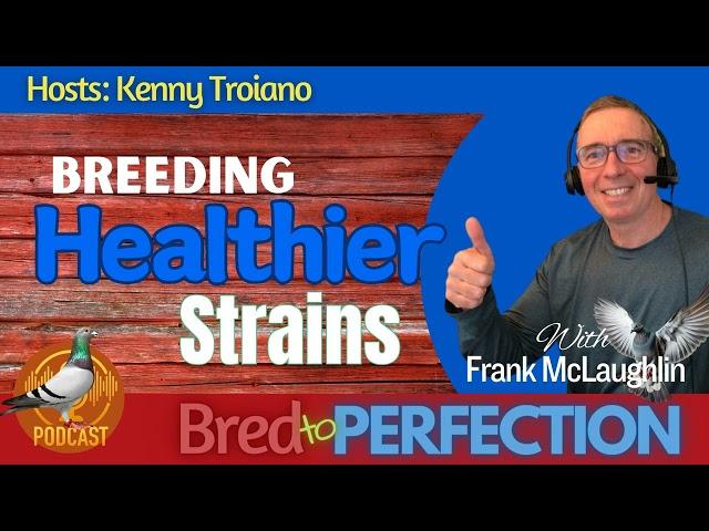 Ep207 - Breeding a Healthier Strain with Pigeon Breeder, Frank McLaughlin.