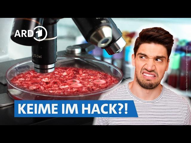 Hackfleisch aus dem Supermarkt im Test: Wie frisch ist es wirklich? (inkl. Labortest) | Mark WDR