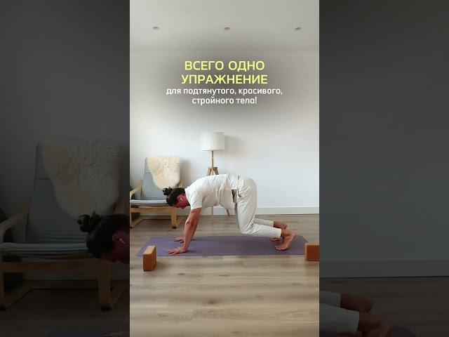 Самое ЛУЧШЕЕ упражнение для СТРОЙНОГО ТЕЛА! #здоровье #упражнение #спорт