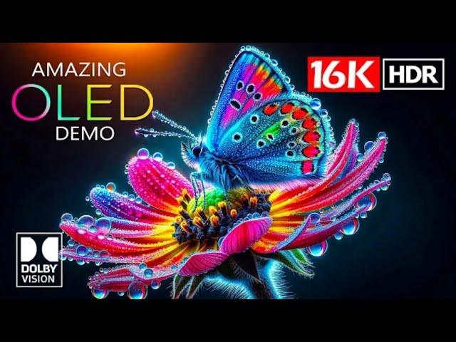 16K Video ULTRA HD - 16K HDR Dolby Vision (4K / 8K TV) #4k  #4khdr  #8k