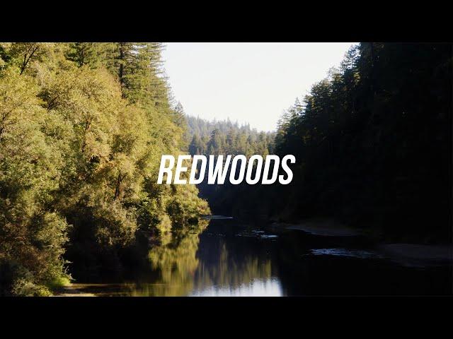 Humboldt Redwoods State Park | 4K Drone Video