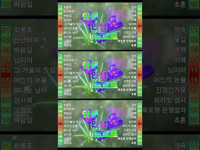 인생 인생 트로트 KPOP (TROT) PLAYLIST  ( 꽃길.상사화.여인의 눈물.회룡포.바람길...) #shorts