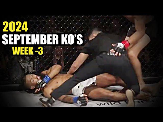 MMA & Boxing Knockouts I September 2024 Week 3