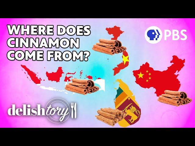 What Are The Different Types Of Cinnamon? | Delishtory