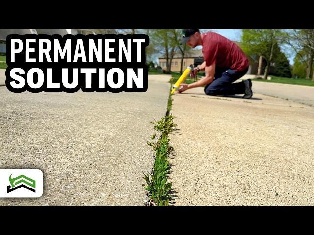 Weed-Free Driveways and Sidewalks: The Ultimate Solution!