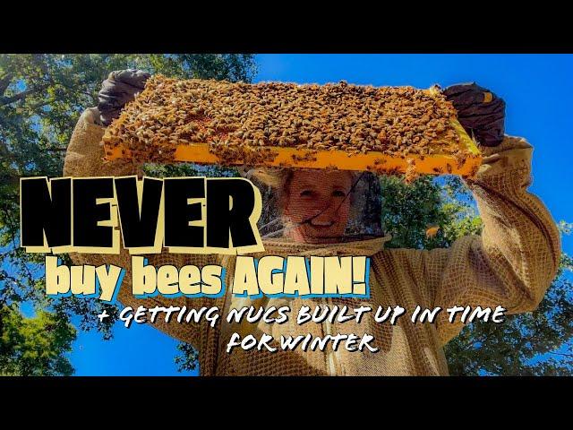 HOW To NEVER Have To Buy Bees Again / Beekeeping 101 #beekeeping #beekeeping101 #beekeeper