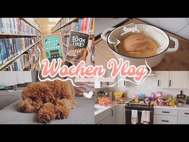 Erste Schulwoche | Haul | Bücherei + neues Buch Highlight | Brot backen | INTROVERT DIARIES