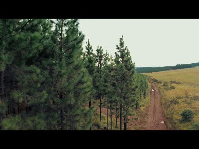Nature Earth