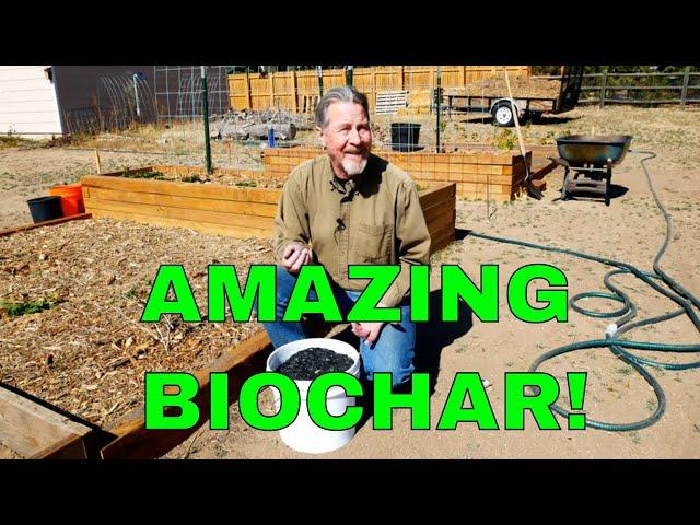 How to Use Biochar in Your Garden (Amazing Benefits)