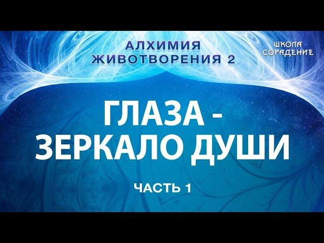 Глаза зеркало Души #АлхимияЖивотворения #Гарат #школаСорадение