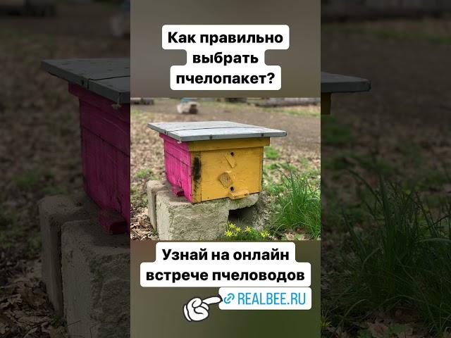 Онлайн встреча пчеловодов, прими участие - realbee.ru/sezon #обучениепчеловодству #bee #honeybee