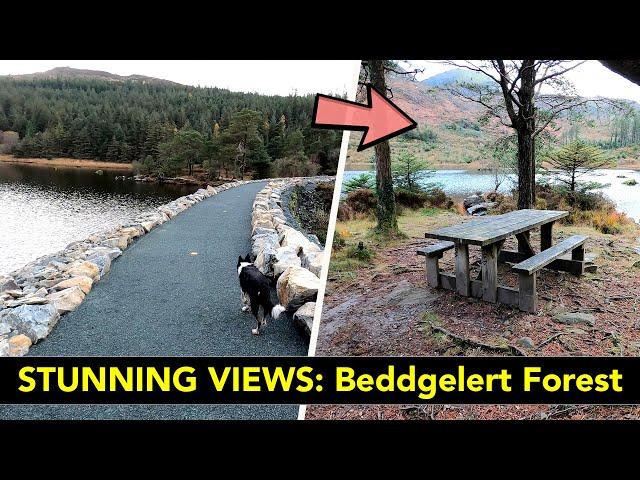 Stunning Views at Beddgelert Forest in ERYRI NATIONAL PARK