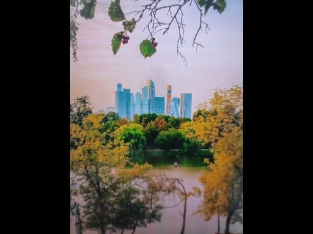 #новодевичьи #парк #пруд #сказочное #место #церковь #жизнь #люди #москва #москвичи #2024 #патрин