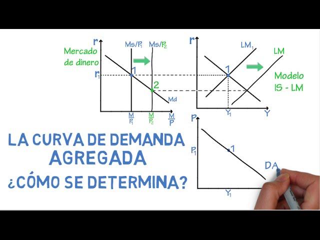 Aggregate demand curve, how is it determined? | Chapter 30 - Macroeconomics