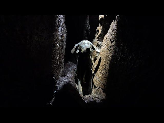 Dog Rescue in a Volcanic Fissure