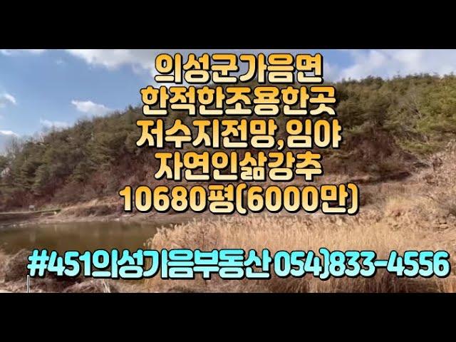 #451 의성가음부동산 포장도로접한 임야 10680평 (총6000만원) 주차공간확보된임야(야산) #의성군땅#군위군땅#가음땅#춘산땅#귀농귀촌#주말농장#싼땅#농가주택#임야#자연인#묘터