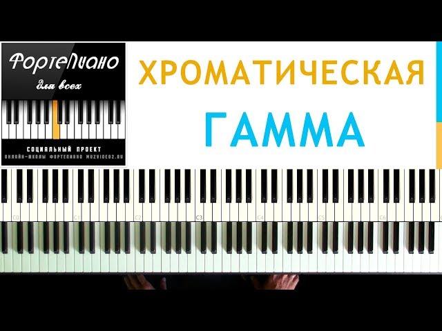  Фортепиано ДЛЯ ВСЕХ. Урок 5 - ХРОМАТИЧЕСКАЯ гамма.