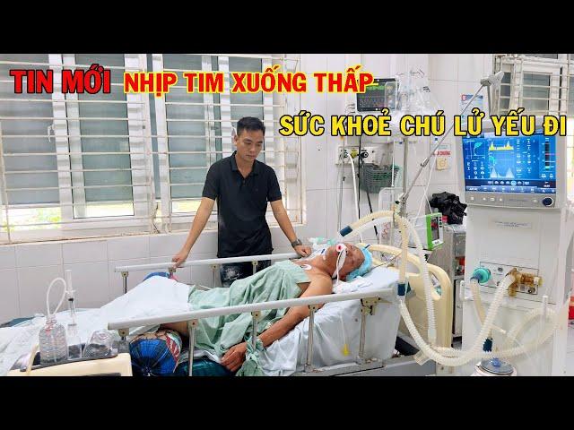 TIN MỚI '' NHỊP TIM XUỐNG THẤP LIÊN TỤC SỨC KHOẺ CHÚ LỬ MỖI NGÀY MỘT YẾU DẦN ĐI '' TIẾNG GỌI TÂY BẮC