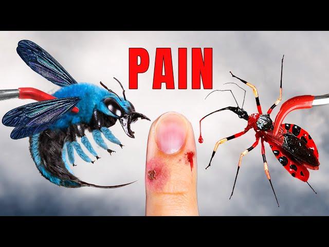 BITE vs STING: The Ultimate Pain Test of 2024!