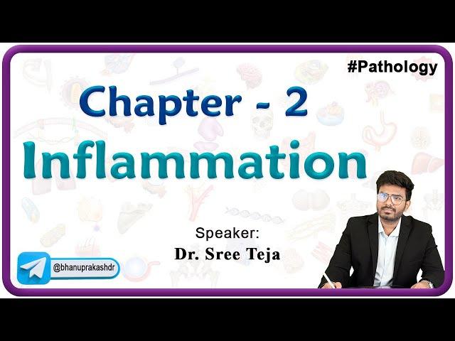 Inflammation | Vascular and Cellular events, Wound Healing & Granuloma - Robbins Pathology Chapter-2