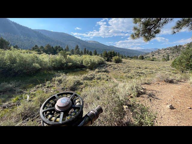 Trout Bonanza in LEAVITT Meadow on the West Walker |#fishing #flyfishing #california