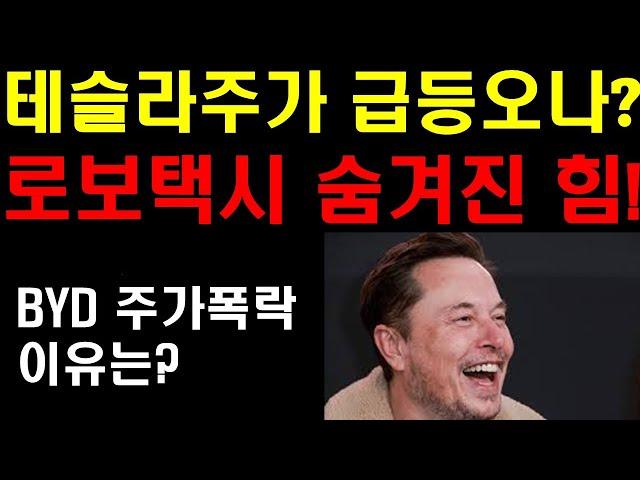 테슬라 주가 급등 오나? 로보택시 숨겨진 힘! 테슬라 경쟁사 BYD 주가 폭락 이유는? 미국주식이 주춤하는 이유들! 엔비디아와 팔란티어의 미래는? 비트코인의 힘이 느껴진다!