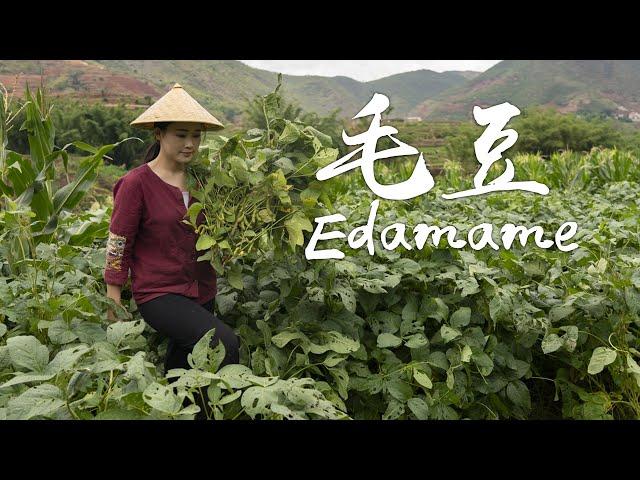 Two new ways of cooking edamame: Edamame & Pumpkin Stew and Edamame Salad.