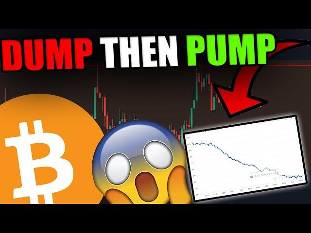 BITCOIN HOLDERS: SMALL DUMP THEN PUMP? THIS CHART REVEALS THE TRUTH