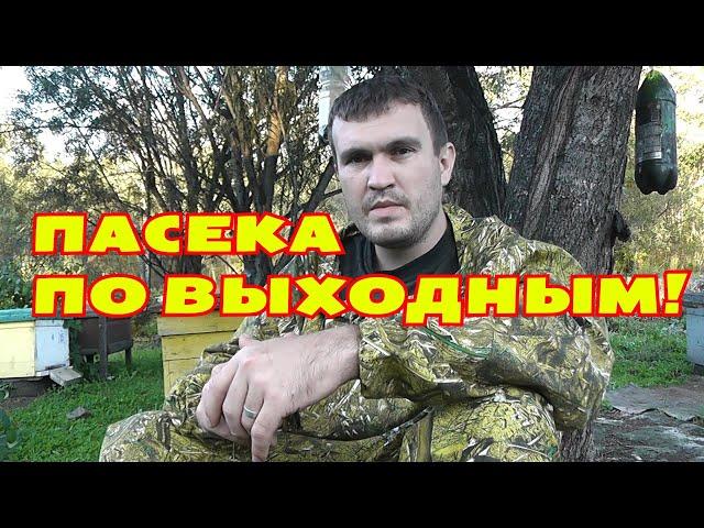 Трейлер канала ПАСЕКА ПО ВЫХОДНЫМ!