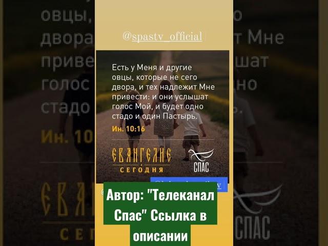 ️ЕВАНГЕЛИЕ ДНЯ (26 НОЯБРЯ) #спас #телеканалспас #shorts #шортс #вераправославная #евангелие