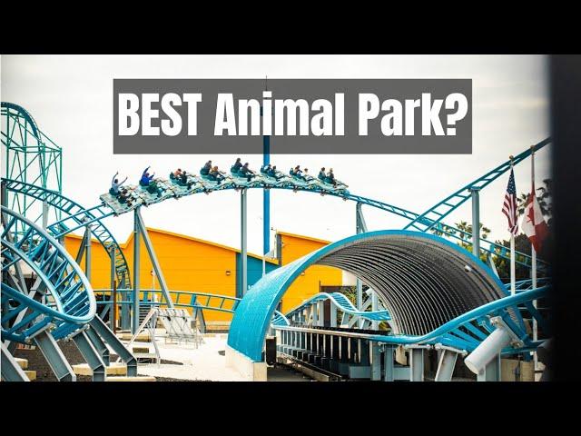 California's Best Animal Park? | Spring Break at SeaWorld San Diego | Park Updates | 2025