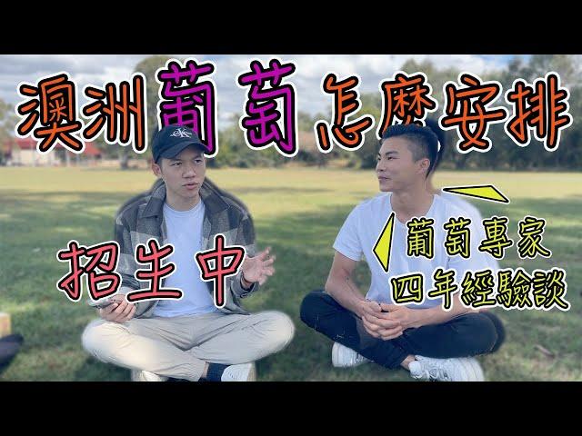 訪談｜澳洲葡萄六天4200澳的成就履歷達人｜葡萄季節怎麼規劃？開放招募中～好康來一探究竟