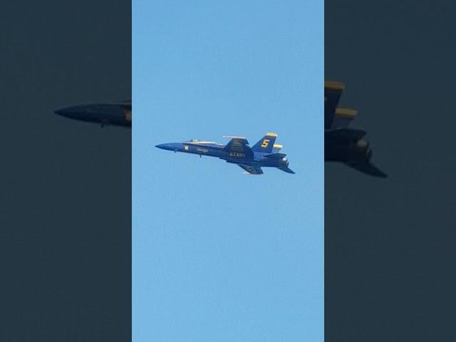 BLUE ANGEL 5