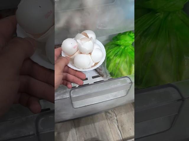 Как заточить ножи в блендере! #shorts #lifehacks #diy #совет #кухня