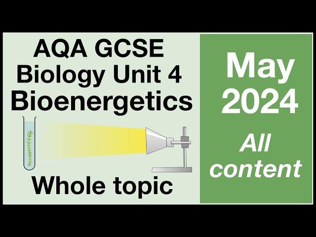 Whole of Unit 4 - AQA GCSE Biology - Bioenergetics