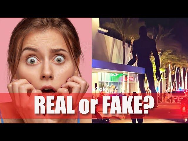 THOSE MIAMI MALL ALIENS - Real or Fake?