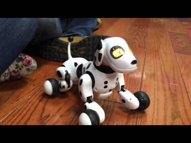 Zoomer perro robot español  de Spin Master  Juegos Juguetes y Coleccionables 