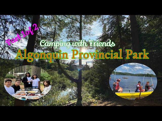 Camping with Friends Algonquin Provincial Park
