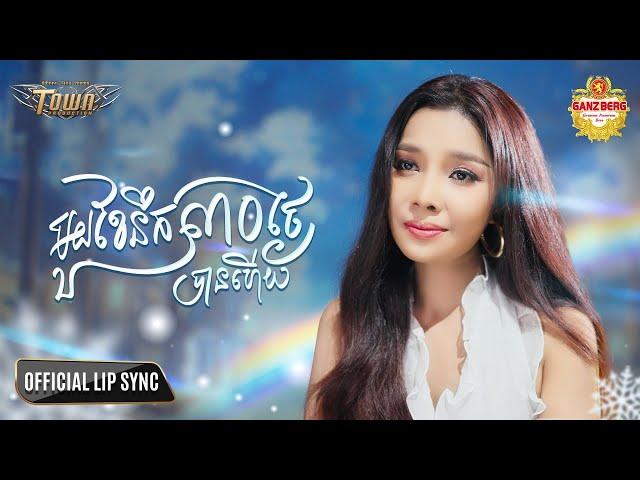 មួយខែនឹក៣០ថ្ងៃបានហើយ - Ban Monyleak - Official Lip Sync