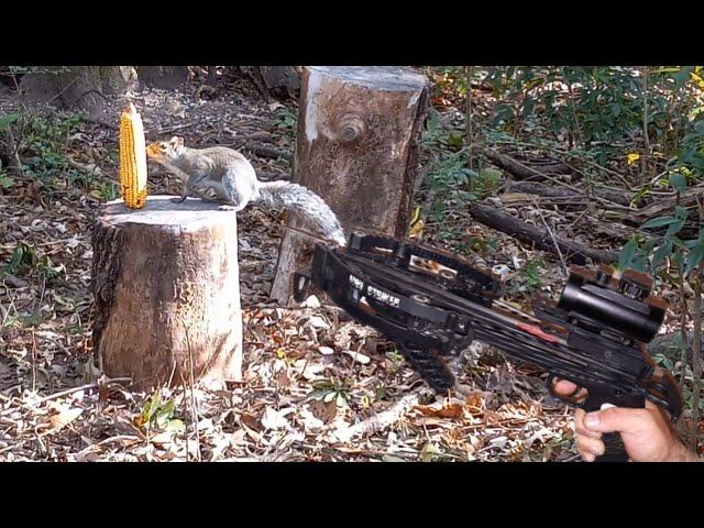 Squirrel Hunting with a Mini Striker Pistol Crossbow