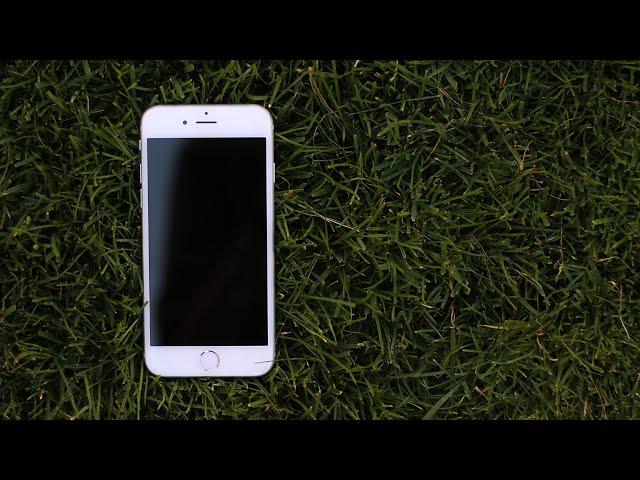iPhone 6: One Year Later