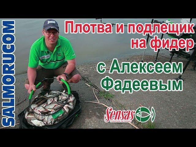 Плотва и подлещик на sensas super black