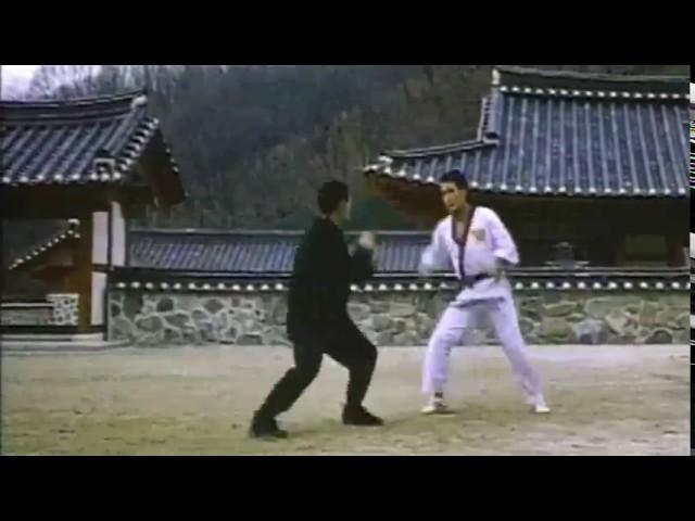 Jung Kook Hyun Taekwondo (From the movie Taekwon Fighters 1994 )